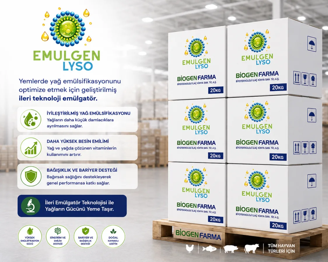 Emulgen Lyso