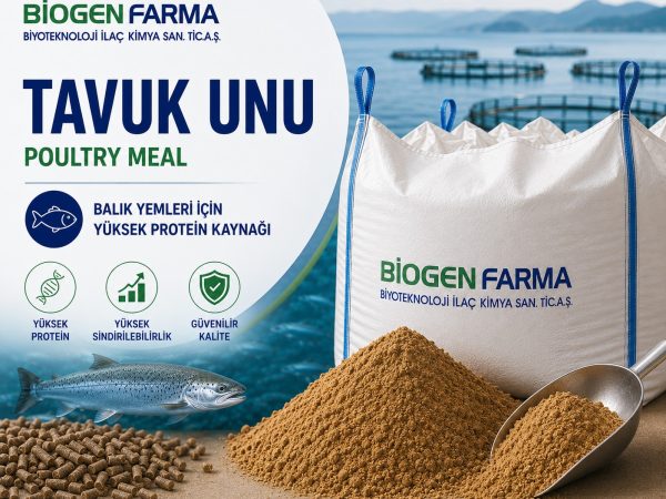 Tavuk Unu (Poultry Meal) | Biogen Farma